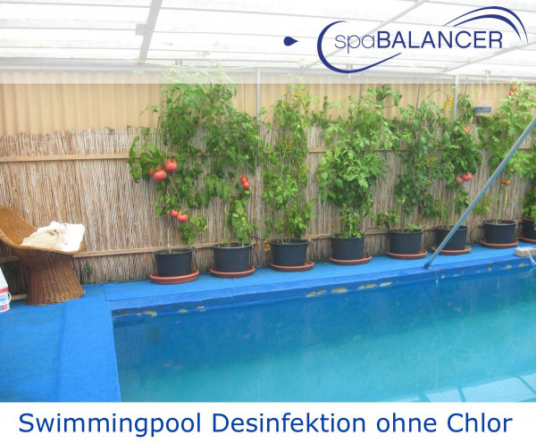 Swimmingpool-Desinfektion-ohne-Chlor-1